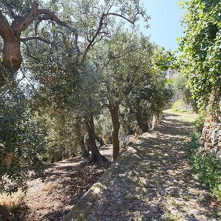 Vista Mare Il Cipressetto Appartamento